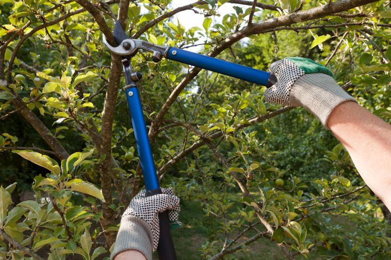 Advanced Tree Pruning Tools
